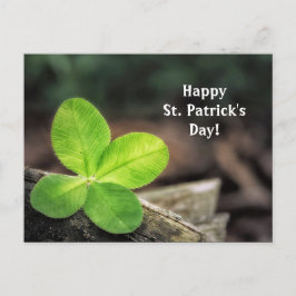 Shamrock 2 St. Patrick's Day Briefkaart