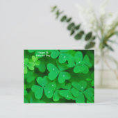 Shamrock afbeelding voor briefkaart (Staand voorkant)