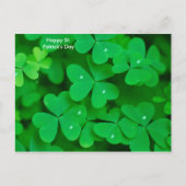 Shamrock afbeelding voor briefkaart (Voorkant)