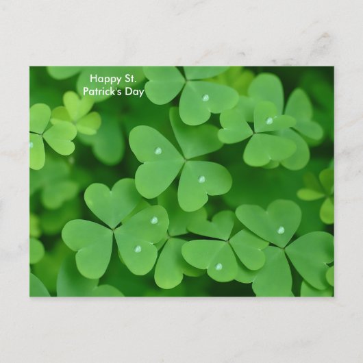 Shamrock afbeelding voor briefkaart (Voorkant)