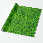Shamrock Cadeaupapier (Uitgerold)