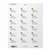 Shamrock Cello Etiket (Full Sheet)