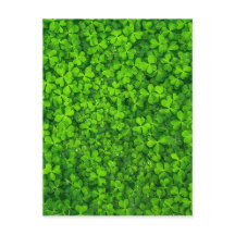 Shamrock Clovers Green Irish Symbol Ierland