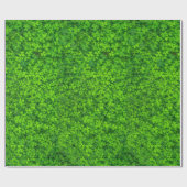Shamrock Clovers Green Irish Symbol Ierland Cadeaupapier (Vlak)