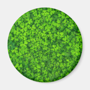 Shamrock Clovers Green Irish Symbol Ierland Magneet