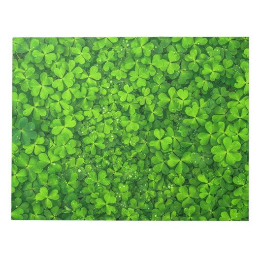 Shamrock Clovers Green Irish Symbol Ierland Notitieblok (Voorkant)