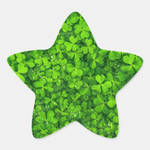 Shamrock Clovers Green Irish Symbol Ierland Ster Sticker