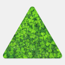 Shamrock Clovers Green Irish Symbol Ierland
