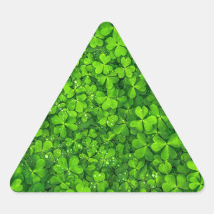 Shamrock Clovers Green Irish Symbol Ierland Sticker
