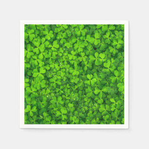 Shamrock Clovers Photography Irish Saint Patrick Servet