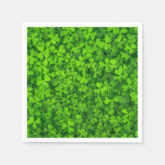 Shamrock Clovers Photography Irish Saint Patrick Servet (Voorkant)