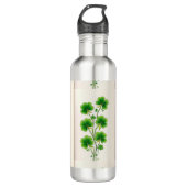 Shamrock Decoratie Waterfles (Voorkant)