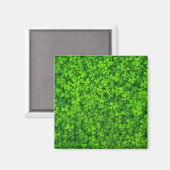 Shamrock green, St. Patrick's Day, Magneet (Voorkant / Achterkant)