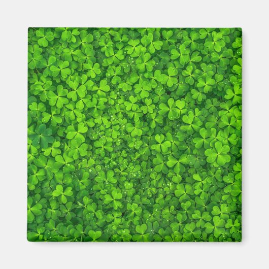 Shamrock green, St. Patrick's Day, Magneet (Voorkant)
