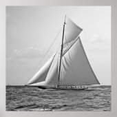 Shamrock II op Outer Mark 1901 BW Poster (Voorkant)