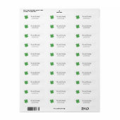Shamrock Irish Painting Art Address Label (Full Sheet)