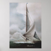 Shamrock IV Poster (Voorkant)