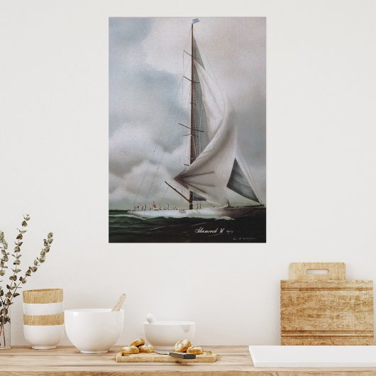 Shamrock IV Poster (Keuken)