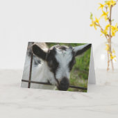 Shamrock Kaart (Gele Bloem)