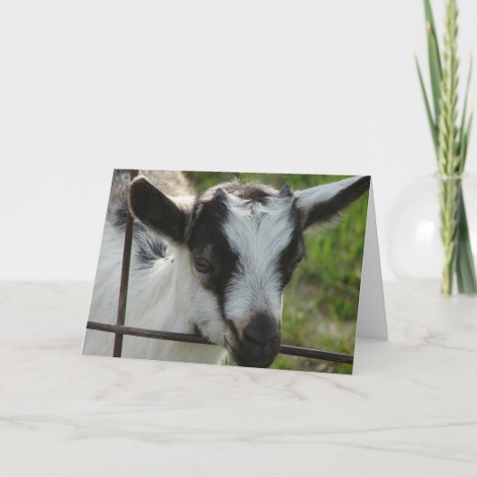 Shamrock Kaart (Voorkant)