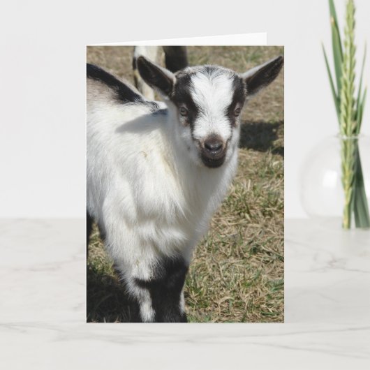 Shamrock Kaart (Voorkant)