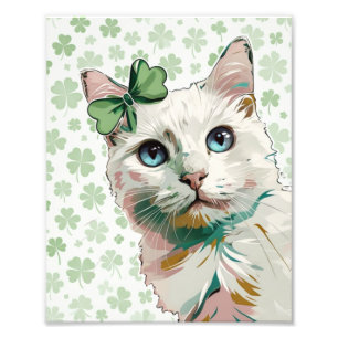 Shamrock kat met blauwe ogen foto afdruk