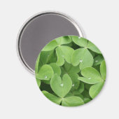 Shamrock klaver bladeren magneet (Voorkant / Achterkant)