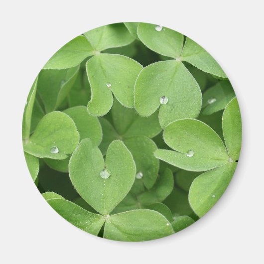 Shamrock klaver bladeren magneet (Voorkant)
