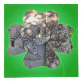 Shamrock Lijst 5 foto's (Rechts)