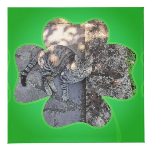 Shamrock Lijst 5 foto's (Rechts)