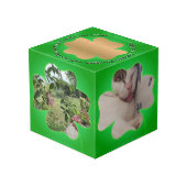 Shamrock Lijst 5 foto's (Achter hoekig)