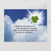 Shamrock Memorial Briefkaart (Voorkant)