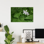 Shamrock Poster met Text -36x24-of kleiner (Thuiskantoor)