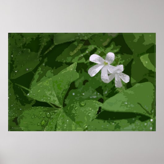 Shamrock Poster zonder Text -36x24-of kleiner (Voorkant)