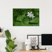 Shamrock Poster zonder Text -36x24-of kleiner (Thuiskantoor)