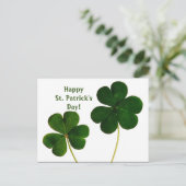 Shamrock St. Patrick's Day Briefkaart (Staand voorkant)