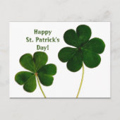 Shamrock St. Patrick's Day Briefkaart (Voorkant)