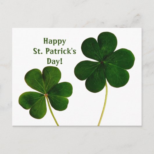 Shamrock St. Patrick's Day Briefkaart (Voorkant)