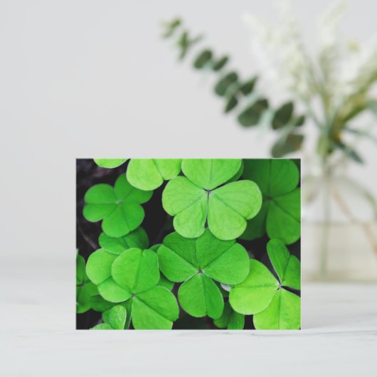 Shamrock St Patricks Day Briefkaart (Staand voorkant)