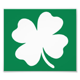 Shamrock St Patricks Day Ierland Foto Afdruk
