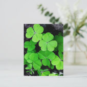 Shamrocks Briefkaart (Staand voorkant)