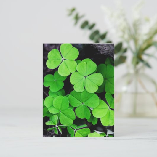 Shamrocks Briefkaart (Staand voorkant)