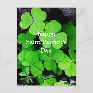 Shamrocks, Happy Saint Patrick's Day Briefkaart