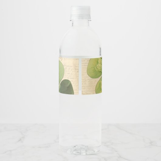 Shamrocks Happy St Patrick's Day  stijl Waterfles Etiket (Achterkant)