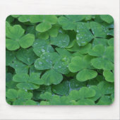 SHAMROCKS MUISMAT (Voorkant)