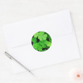 Shamrocks Ronde Sticker (Envelop)