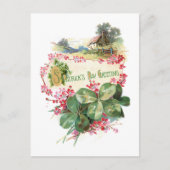 Shamrocks St. Patrick's Day Greetings Briefkaart (Voorkant)