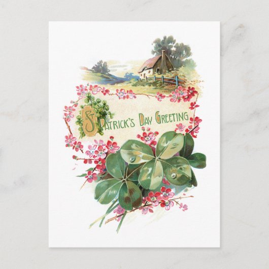 Shamrocks St. Patrick's Day Greetings Briefkaart (Voorkant)