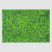 Shamrocks Tissuepapier (Voorkant)