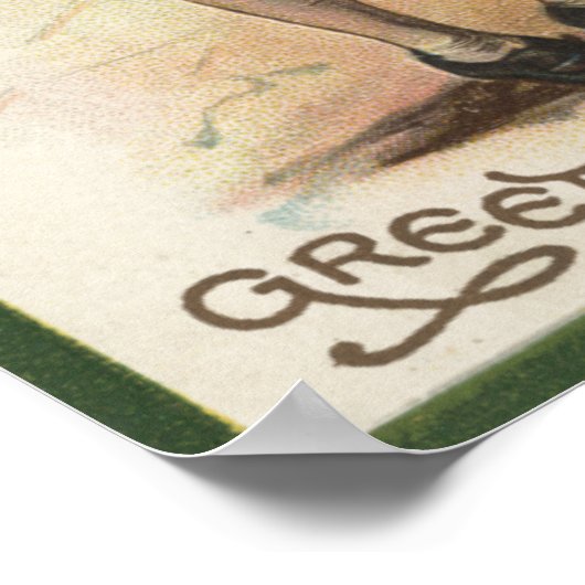 Shamrocks voor eenden poster (Hoek)